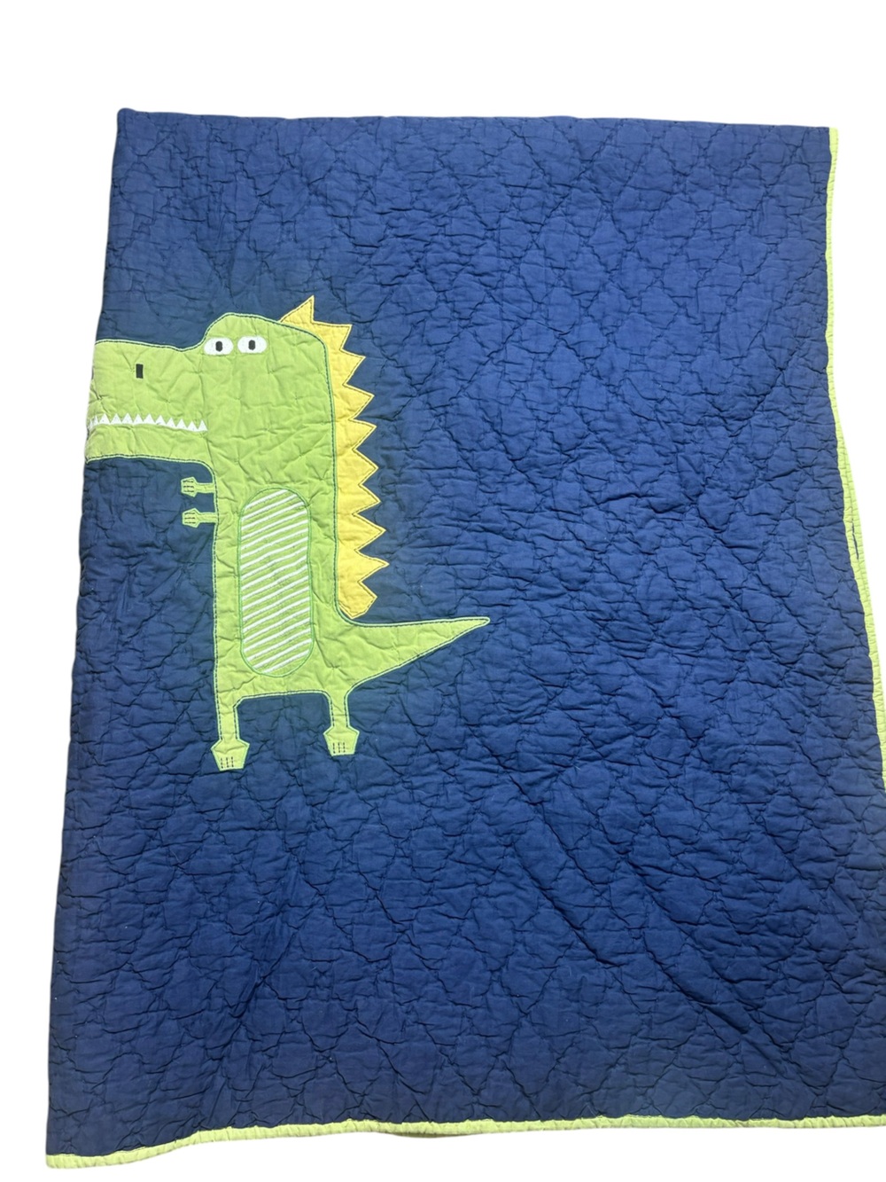 Pottery barn kids 100% cotton dinosaur‎ quilt twin/twin xl and sham